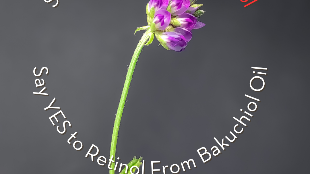 Retinol from Bakuchiol Oil