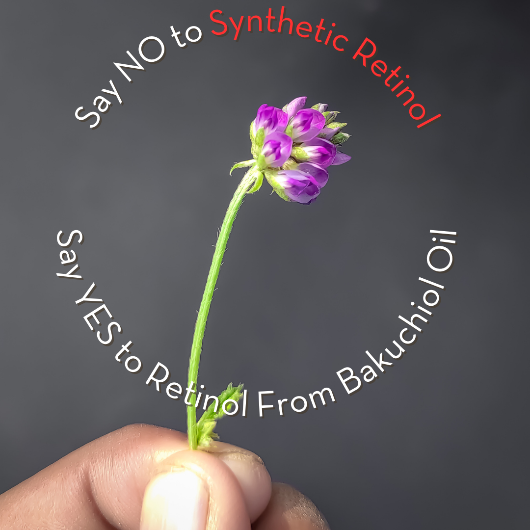 Retinol from Bakuchiol Oil