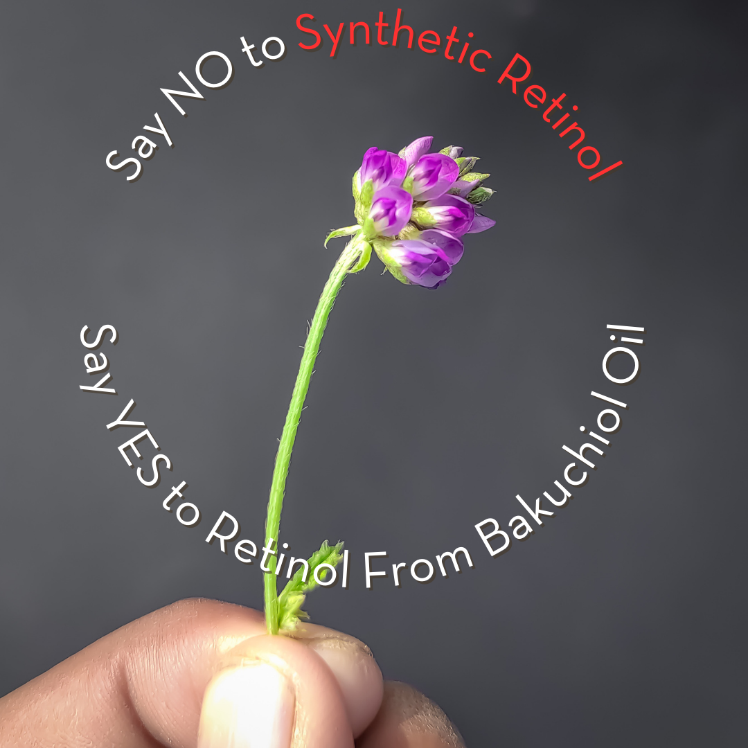 Retinol from Bakuchiol Oil 