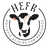 logo of Hefr - Holistic Elixirs For Radiance – Hefr Labs